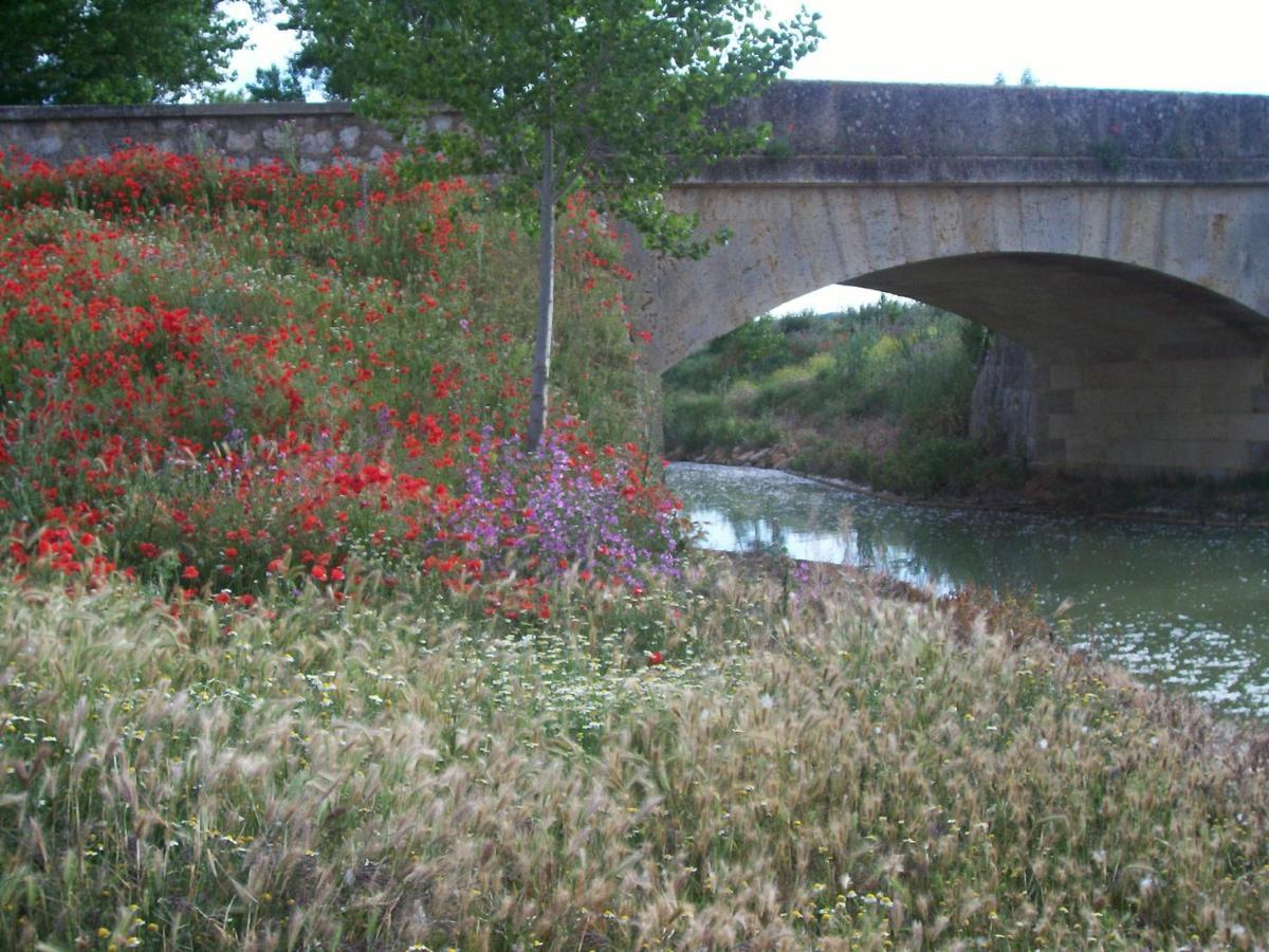 Pensjonat Quinta Del Canal Tamariz de Campos Zewnętrze zdjęcie