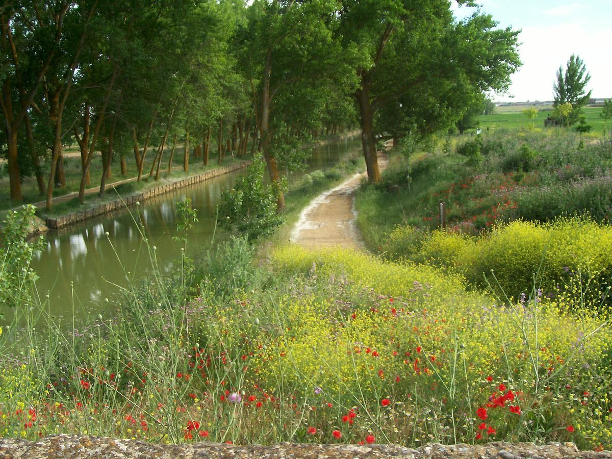 Pensjonat Quinta Del Canal Tamariz de Campos Zewnętrze zdjęcie